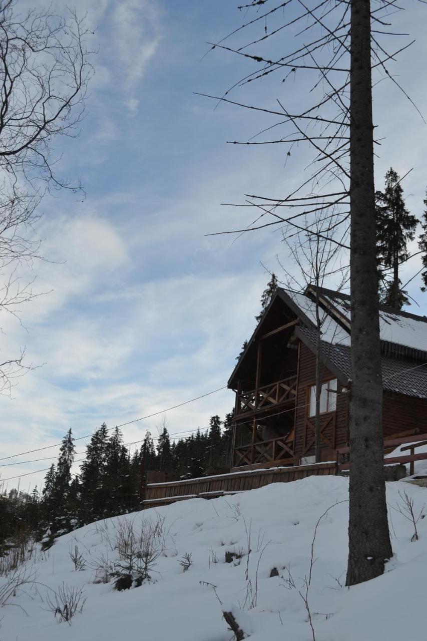 Chalet Shepit Karpat Bukowel Zewnętrze zdjęcie