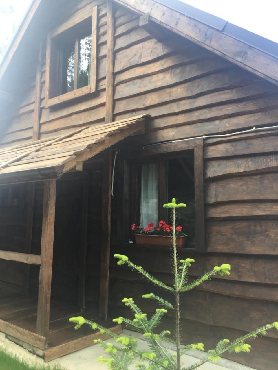 Chalet Shepit Karpat Bukowel Zewnętrze zdjęcie