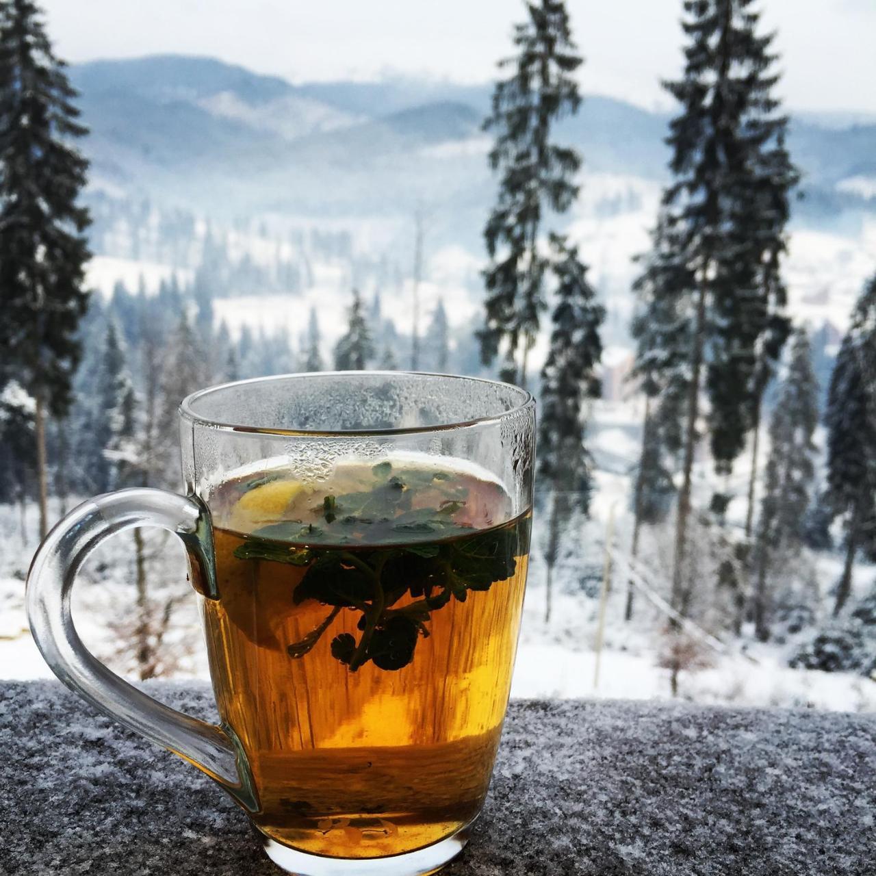 Chalet Shepit Karpat Bukowel Zewnętrze zdjęcie