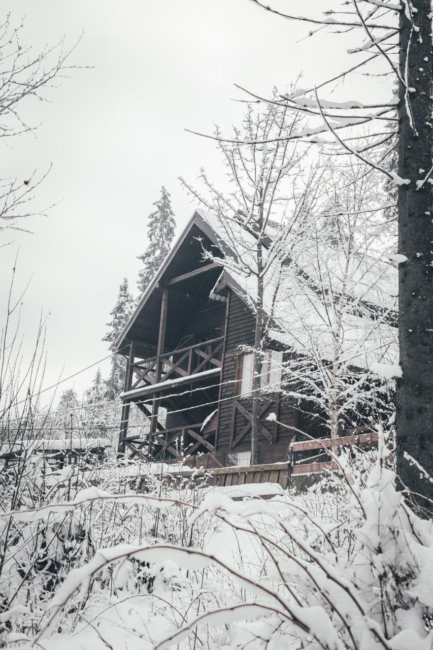 Chalet Shepit Karpat Bukowel Zewnętrze zdjęcie